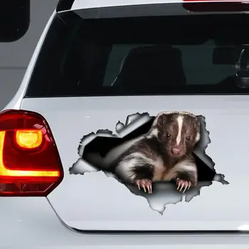 2021 Skunk automobilio lipdukas , Skunk magnetas, Skunk lipdukas