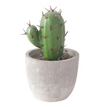 Kaktusas Ornamentu Dirbtinis Modeliavimas Cemento Darbalaukio Kaktusas Pav Ekranas Pelėsių Namuose