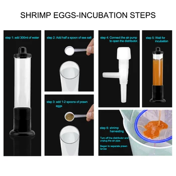 Kiaušinių Inkubatorius 