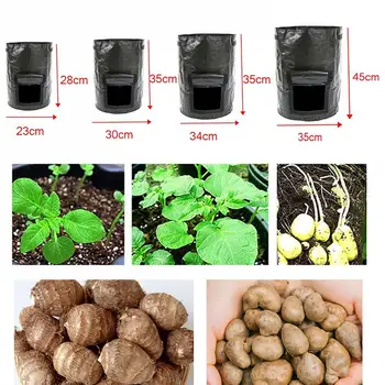 Bulvių Augti Krepšiai 
