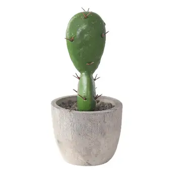 Kaktusas Ornamentu Dirbtinis Modeliavimas Cemento Darbalaukio Kaktusas Pav Ekranas Pelėsių Namuose - 