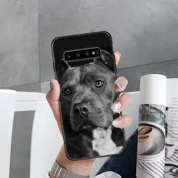 Pit Bull Mielas šunelis Pitbull Telefono dėklas Samsung Galaxy S10E S20 Ultra S10 S21 S7 S8 S9 Plus S21Plus S20FE - 