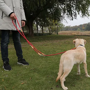Šuo Pavadėlio Balnai Šuo Walker Šunims, du kartus Pavadėlio laisvų Rankų Diržas Šunims Vaikščioti Daugiafunkcinis Grandinės Naminių Reikmenys Diržas - 