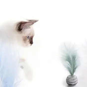Katė Pet Žaislas Star Tekstūros Kamuolį Mėtyti Katės Prekių Plunksnų EVA Medžiagos, Šviesos Putų Kačiukas Interaktyvių Pramogų Juokinga - 