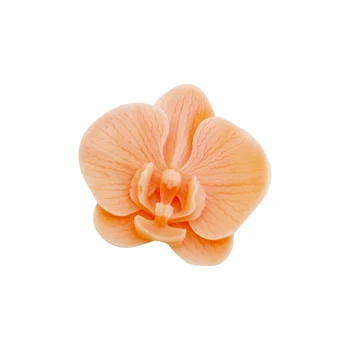 3D Phalaenopsis Aromaterapija Gipso Formų Gėlių, Šokolado, Modeliavimas, liejimo formos Gėlių Kepimo Deco Namų Puošybai Silikono Formos - 