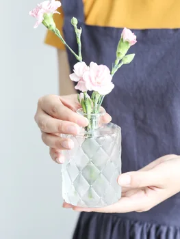 Paprastas Skaidrus Stiklas Maža Vaza Šiaurės Apdailos Kambarį Gėlių Namuose Vazos Aromaterapija Butelis - 