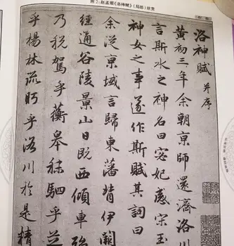 Kinų Kaligrafija Xingshu Žinoma, Knyga Zhao Meng Fu Luoshenfu Kaligrafija Copybook - 