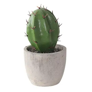 Kaktusas Ornamentu Dirbtinis Modeliavimas Cemento Darbalaukio Kaktusas Pav Ekranas Pelėsių Namuose - 